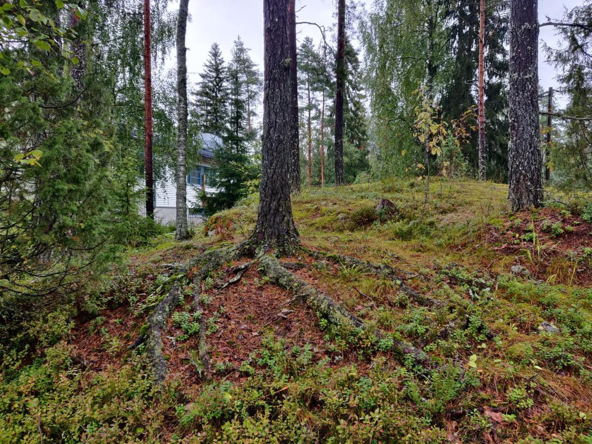 Polku Hotelli Vihti Exteriér fotografie