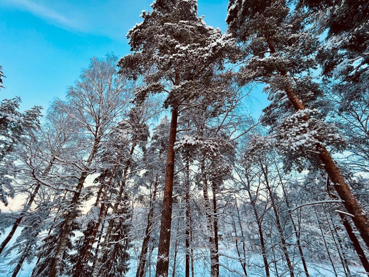 Polku Hotelli Vihti Exteriér fotografie