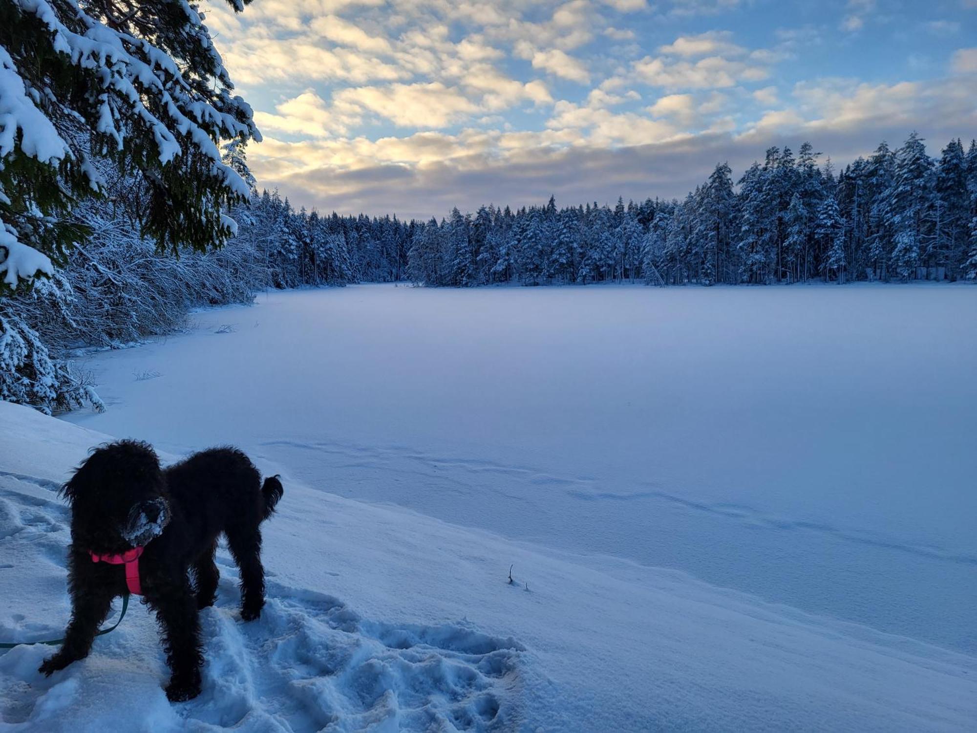 Polku Hotelli Vihti Exteriér fotografie