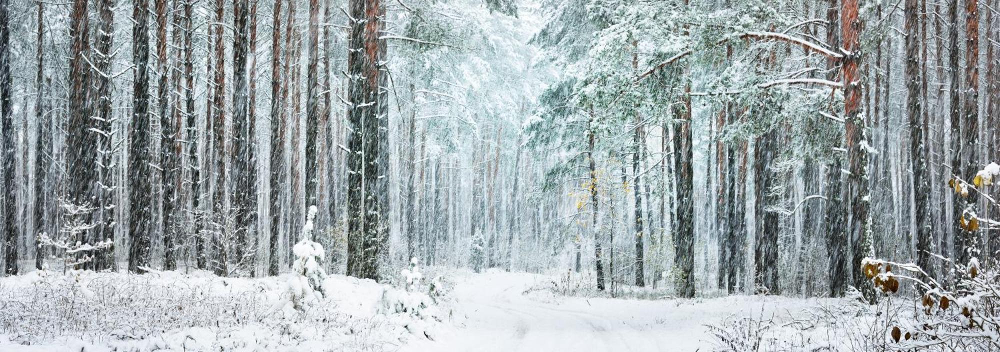 Polku Hotelli Vihti Exteriér fotografie