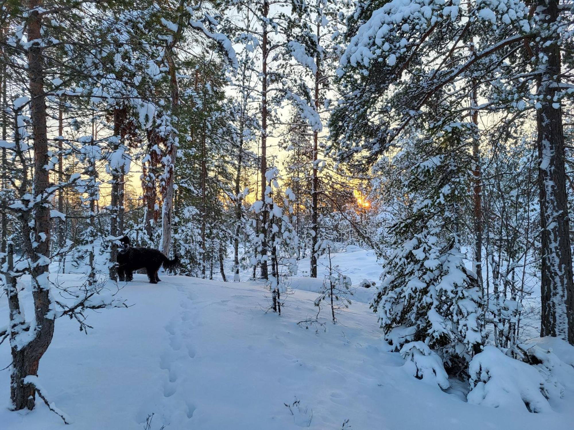 Polku Hotelli Vihti Exteriér fotografie