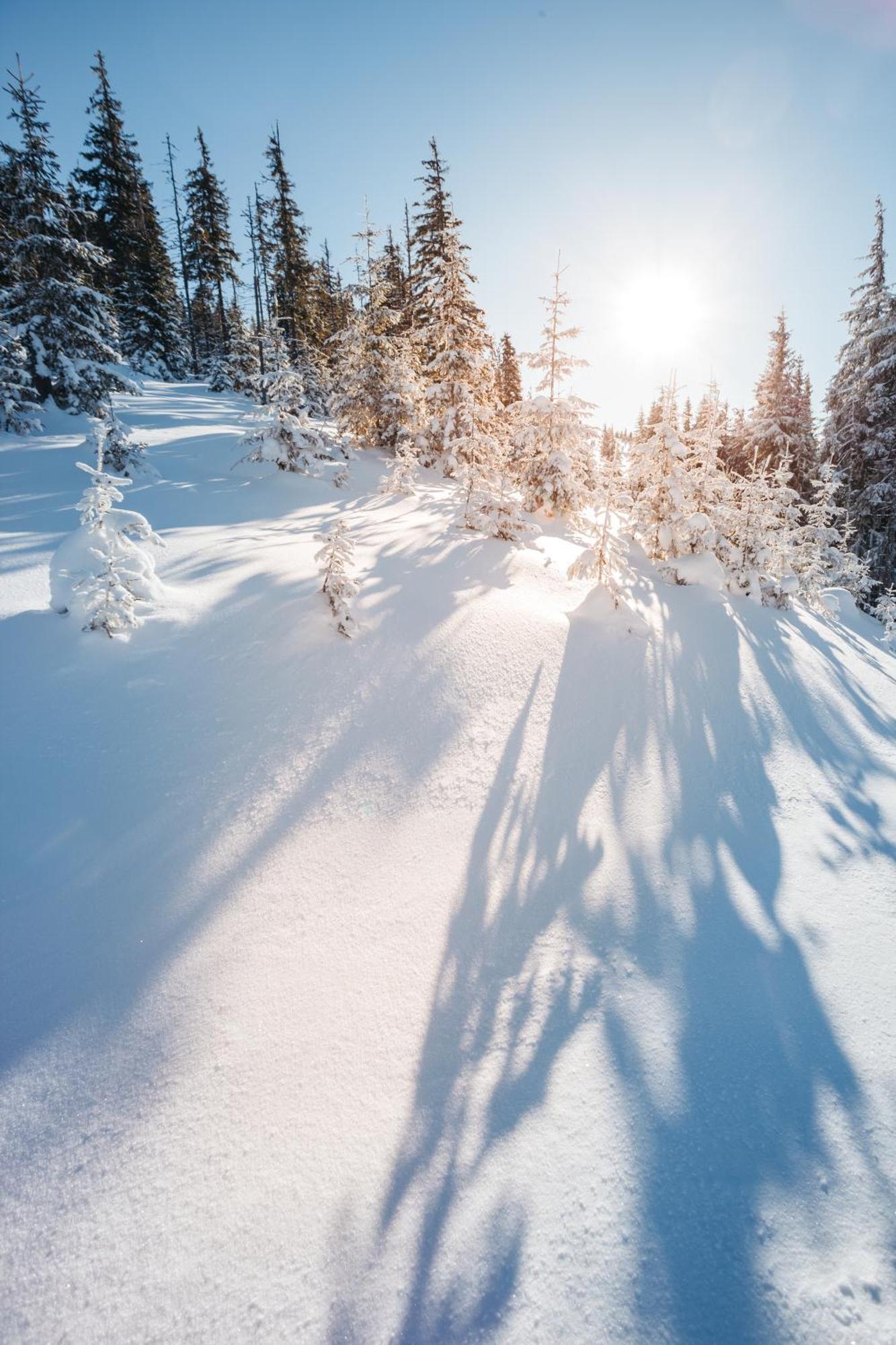 Polku Hotelli Vihti Exteriér fotografie